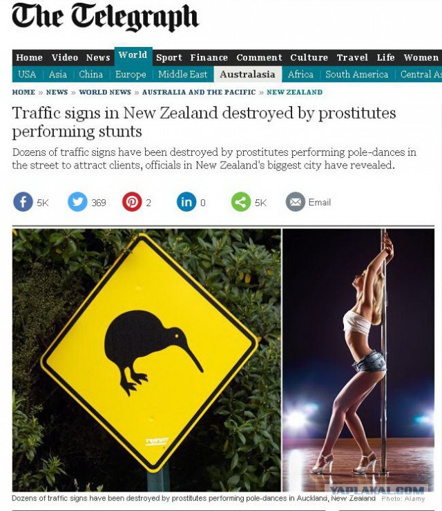 NZ.jpg